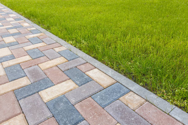 Best Residential Paver Driveway  in Elmendorf, TX